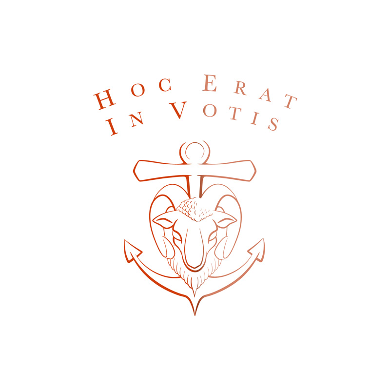 Variante du blason cuivré du Domaine de Saint Clément